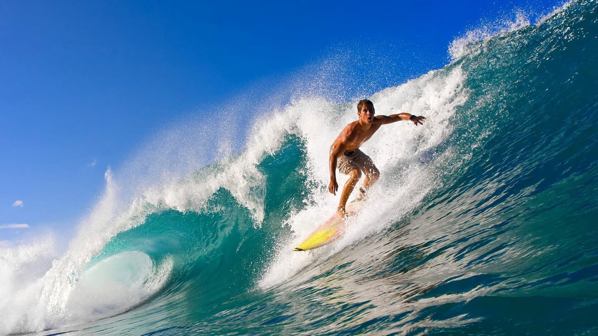 欧冠半决赛焦点战，拜仁闪电战击溃葡萄牙，战术纪律铸就速胜经典